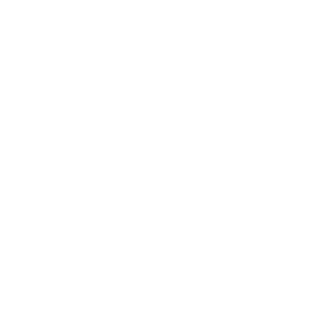 Nayya Pizza & Grill